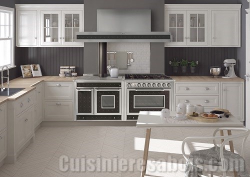 Cuisinière à bois cuisson et chauffage de chez Wekos